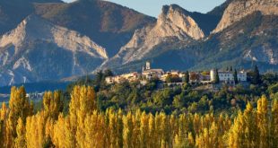 From truffle hunting to antique rummaging: five reasons to visit Provence off season