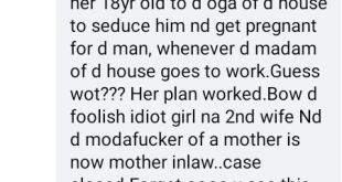 Internet story: Nanny working in Lekki sends her 18-year-old daughter to seduce madam