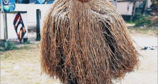 Masquerades flog pastor and members after invading Plateau church