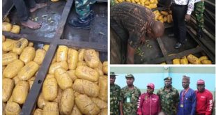Nigerian Army intercepts 792 parcels of Indian hemp worth N10m in Ogun, rejects bribe offered by drug syndicate