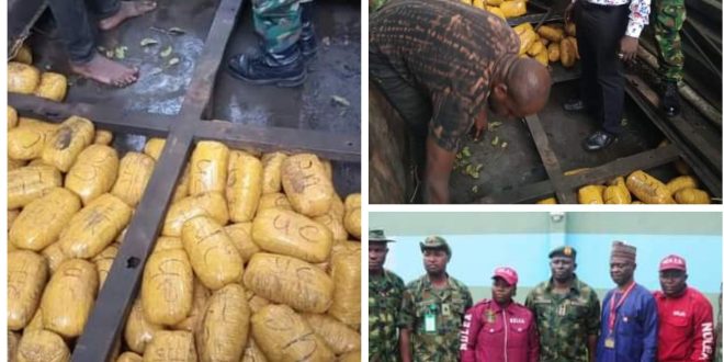 Nigerian Army intercepts 792 parcels of Indian hemp worth N10m in Ogun, rejects bribe offered by drug syndicate