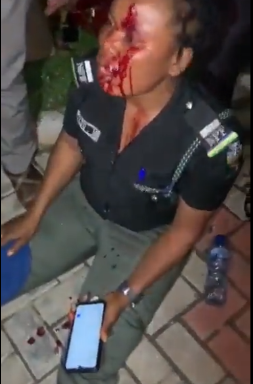 Professor arrested in Abuja after allegedly ordering the assault of her female police orderly (video)