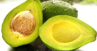 Research Shows Eating Avocados Daily Lowers Cholesterol Levels