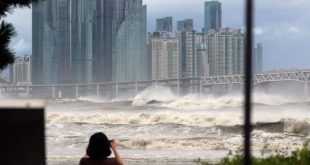 Seven drown in flooded South Korean parking lot as typhoon death toll rises | CNN