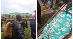 Suspected Fulani militias kill 60-year-old woman in Plateau community