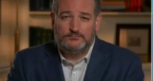 Ted Cruz claims Biden is using mob violence to protect Roe