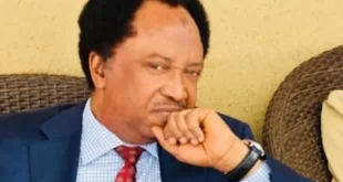 The Sixty million Nigerians with mental sickness will vote for which party? - Senator Shehu Sani asks