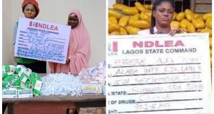 Three women arrested as NDLEA intercepts 972.5kg parcels of cannabis,?721 ampoules of pentazocine injection and other illicit drugs