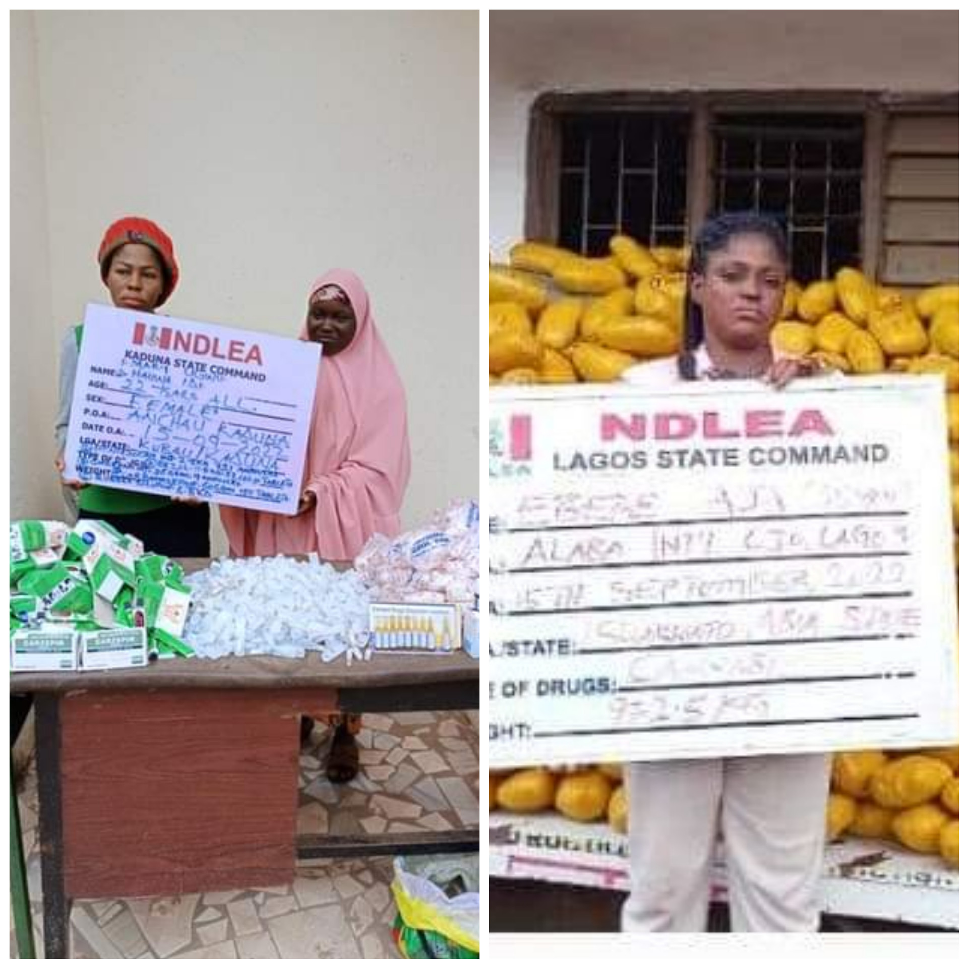 Three women arrested as NDLEA intercepts 972.5kg parcels of cannabis,?721 ampoules of pentazocine injection and other illicit drugs