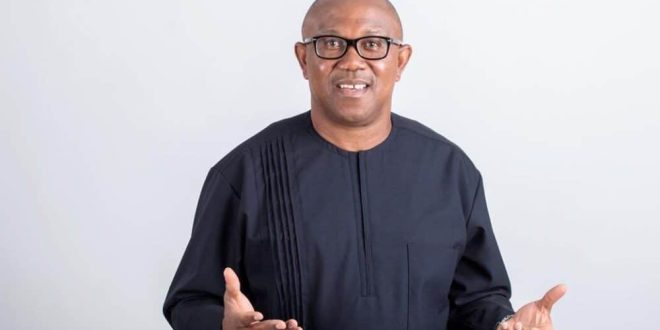 2023: He's Now A Political Enemy - APGA Vows To Work Against Peter Obi