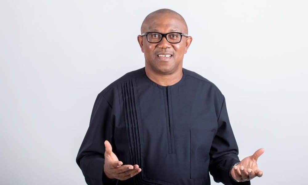 2023: He's Now A Political Enemy - APGA Vows To Work Against Peter Obi