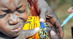 56 People Die As Cases Of Meningitis Hits 961 In Nigeria - NCDC