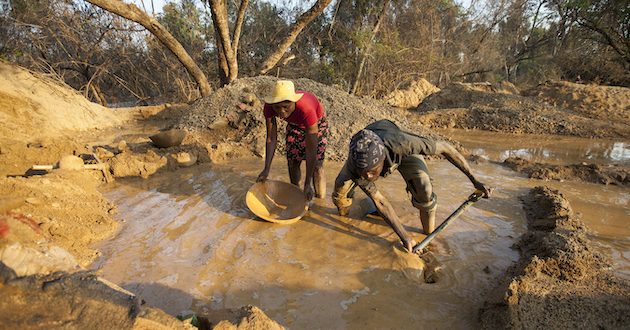 Artisanal Miners Ruining Already Diminishing Forests in Zimbabwe