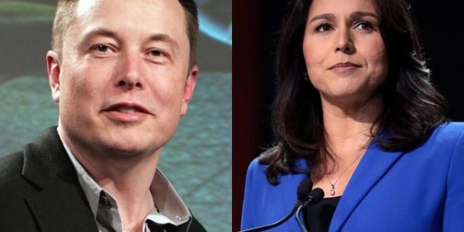 Ex-Dem Tulsi Gabbard Warns Biden Admin, 'Power Elite' Out To Destroy Elon Musk