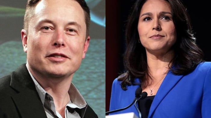 Ex-Dem Tulsi Gabbard Warns Biden Admin, 'Power Elite' Out To Destroy Elon Musk