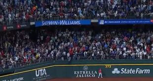 Fan Jumps Out of Stands to Catch Aaron Judge's 62nd Home Run Ball