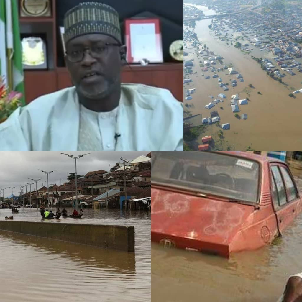 Flooding: Declaring a state of emergency is not yet necessary - Minister of Water Resources, Suleiman Adamu says (video)