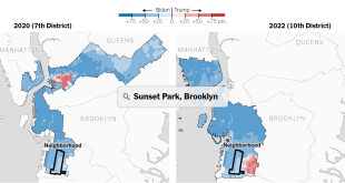 Hey, New Yorkers: Meet Your Neighborhood’s New Congressional District
