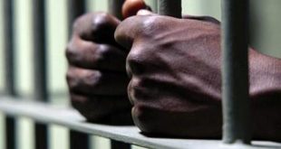 Man Who Charged N2 Million For Fake Customs Job Jailed