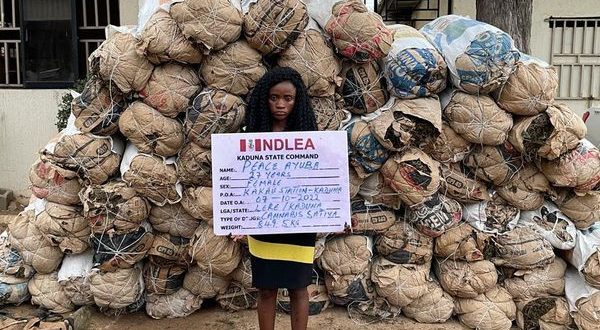 NDLEA arrests female drug dealer with 78 bags of cannabis