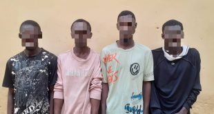 Police arrest gang notorious for stealing and dismantling cars to sell its parts