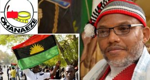 We urge the government not to consider appealing the judgement which freed Nnamdi Kanu - Ohanaeze Ndigbo Youth Council Worldwide
