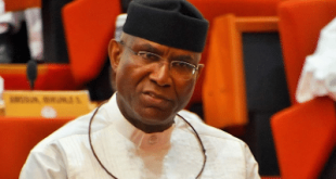 Members Of State Assemblies Have Turned To Governors' Puppets - Omo-Agege
