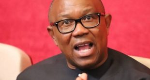2023: Peter Obi Supporters Are Kindergarten Players, Labour Party Can't Win Election - PDP