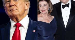 "A Terrible thing? - Donald Trump condemns the hammer attack against Nancy Pelosi's husband while his son tweets jokes about the attack