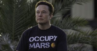 Activist Roasts Elon Musk With Messages Projected on Twitter Headquarters