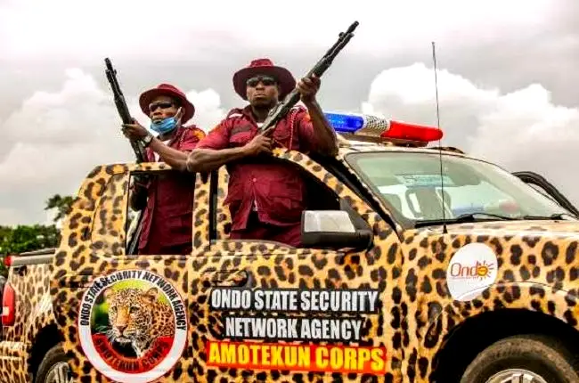 Amotekun Corps Might Pioneer State Policing In Nigeria – RMAFC Chairman