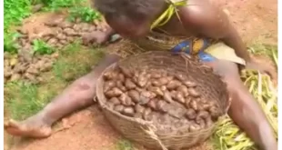 Arrests made after widow was stripped and paraded in Enugu community for picking snails in