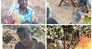 Bodies of two female kidnap victims discovered, three others rescued as troops destroy bandits camps in Kaduna