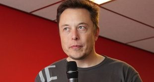 Elon Musk Taunts Dem Ed Markey - 'Your Account Sounds Like a Parody'