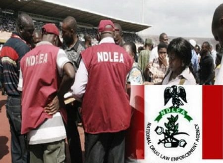 JUST IN: NDLEA Declares Lagos Socialite Wanted Over Alleged Trafficking Of Illicit Drugs