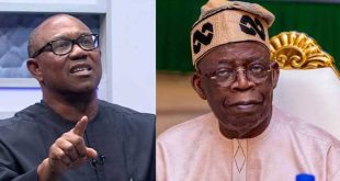 Why Peter Obi Will Peform Better Than Tinubu In 2023 Election - Bwala