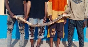 Police arrest four over lynching of man accused of motorcycle theft in Edo community