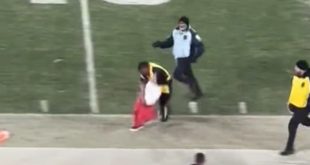Security Guard Levels Fan on the Field of USC-UCLA Game