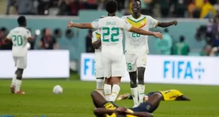Senegal becomes first African team to qualify for World Cup