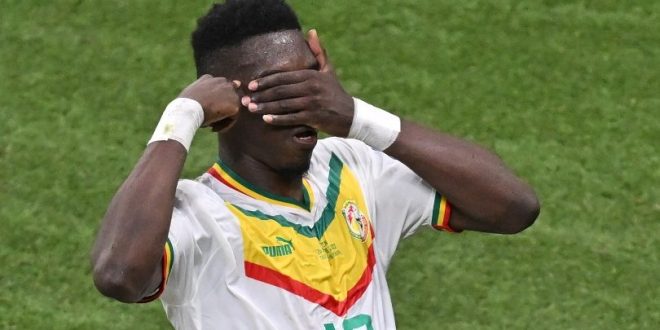 Ismaila Sarr celebrates after scoring for Senegal against Ecuador at the 2022 World Cup.