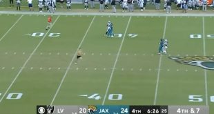 Shirtless Fan Runs Onto Field in Middle of Punt During Raiders-Jaguars