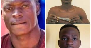 Update: Police arrest final year student who stabbed his friend to death in Bauchi