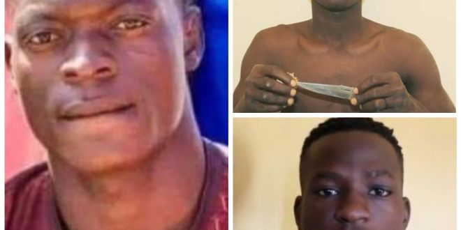Update: Police arrest final year student who stabbed his friend to death in Bauchi