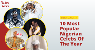 10 most popular Nigerian celebrities of the year [Pulse Picks 2022]