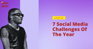 7 social media challenges of the year [Pulse Picks 2022]