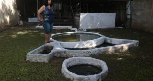 Biogas Spreads Among Cuban Families as an Alternative Energy - Video