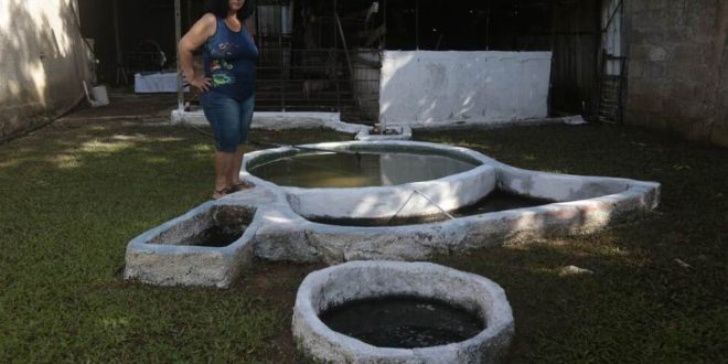 Biogas Spreads Among Cuban Families as an Alternative Energy - Video