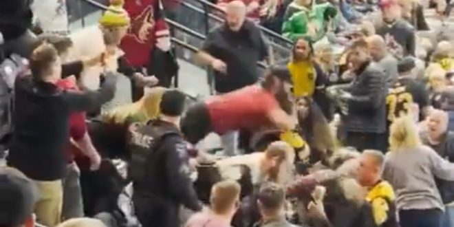 Bruins, Coyotes Fans Violently Brawl in the Stands