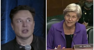 Elon Musk Accuses Democrats Of 'Coordinated' Attack on Him, Suggests They Are Merely Political Puppets