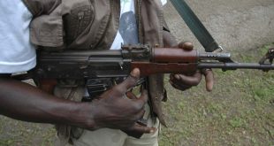 Gunmen kill staff of Federal College of Animal Heath Ibadan